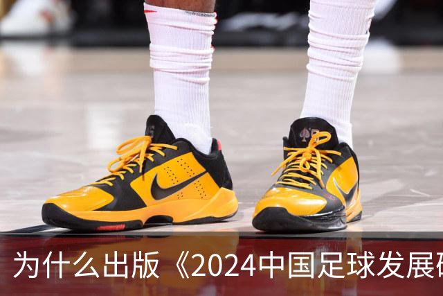 为什么出版《2024中国足球发展研讨会白皮书》？
